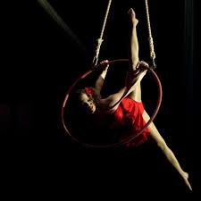 Aerial & trapeze performers